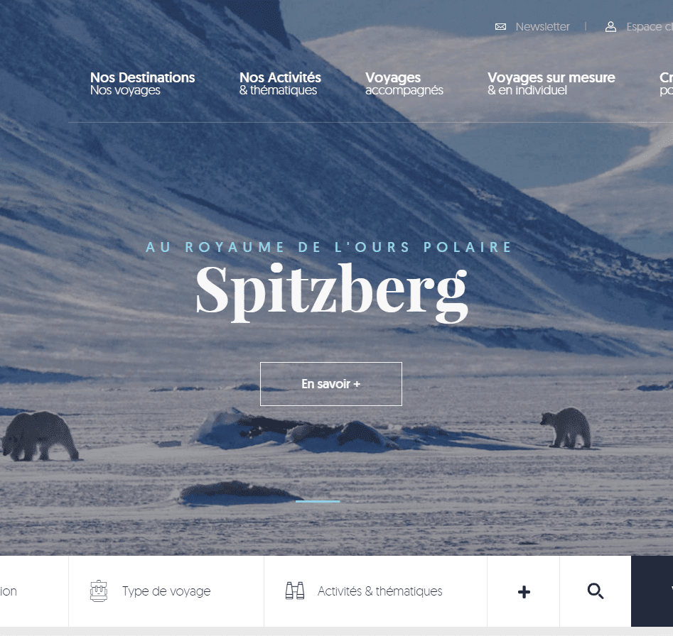 Custom website design showcase